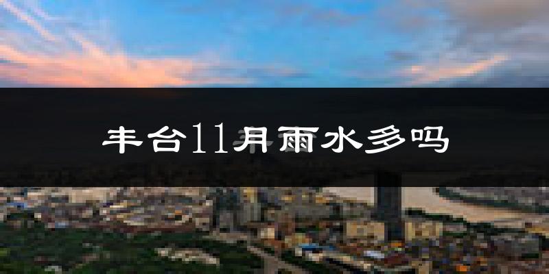 丰台11月雨水多吗?