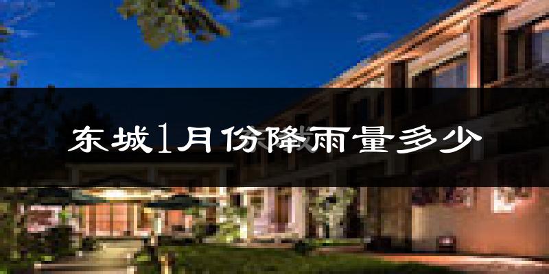 东城1月份降雨量多少?东城一月下雨多吗?