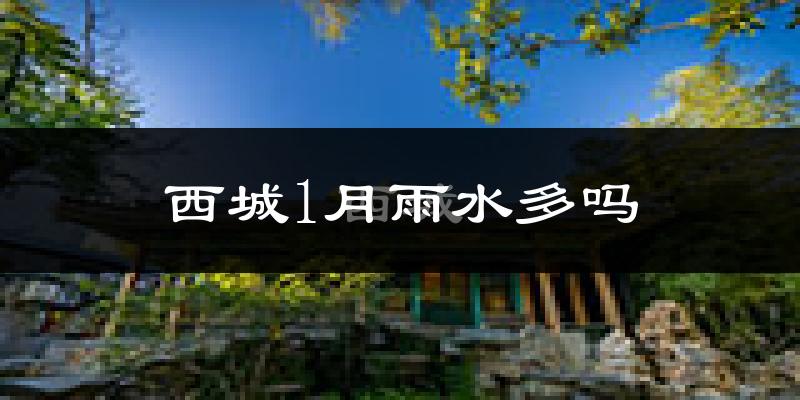 西城1月雨水多吗?