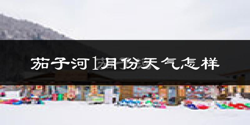 茄子河1月份天气怎样?茄子河一月冷吗?