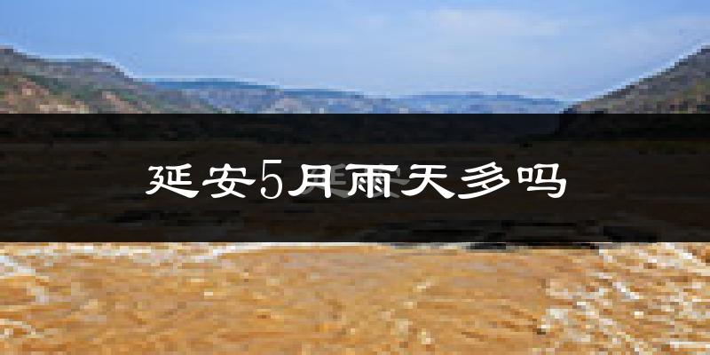 延安5月雨天多吗?