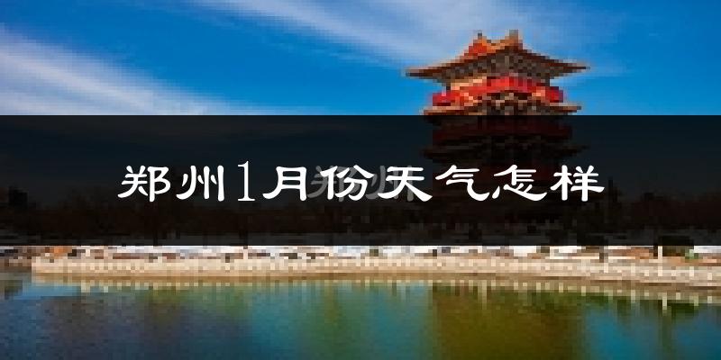 郑州1月份天气如何?很冷吗?