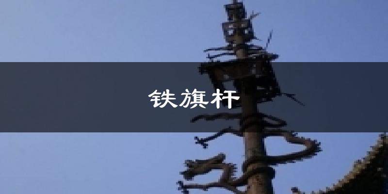 铁旗杆天气预报十五天