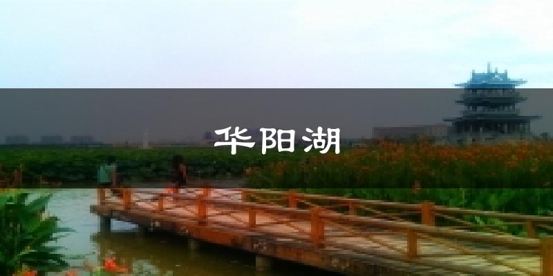华阳湖天气预报十五天