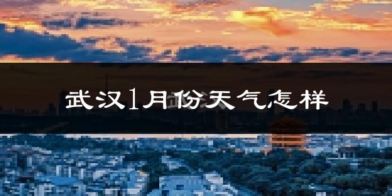 武汉1月份天气如何?很冷吗?