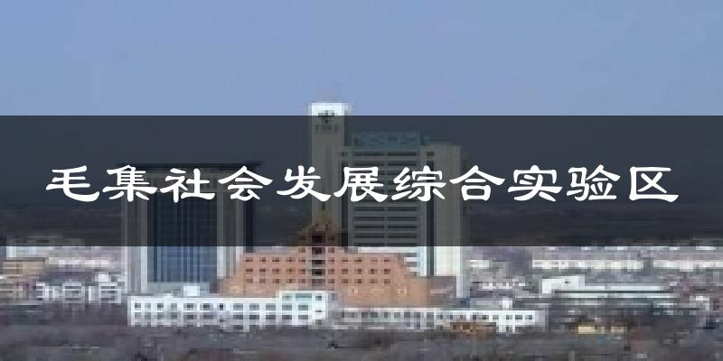 毛集社会发展综合实验区天气预报十五天