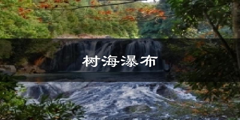 树海瀑布天气预报十五天