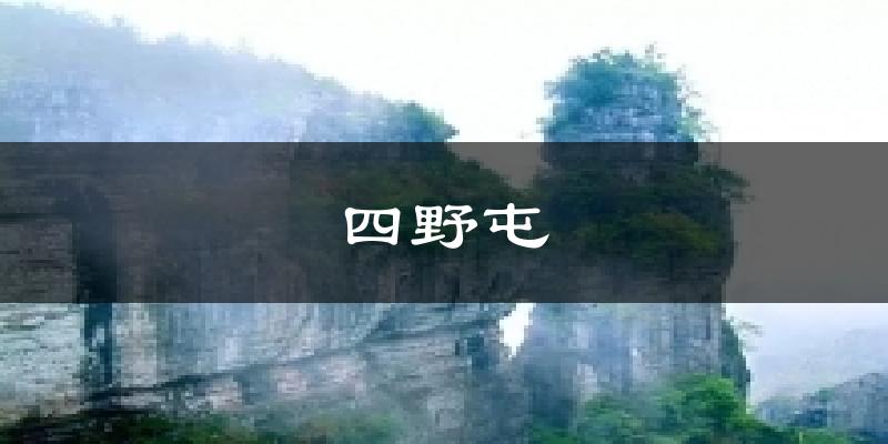 四野屯天气预报十五天